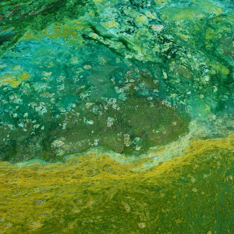 ausleitung-der-giftstoffe